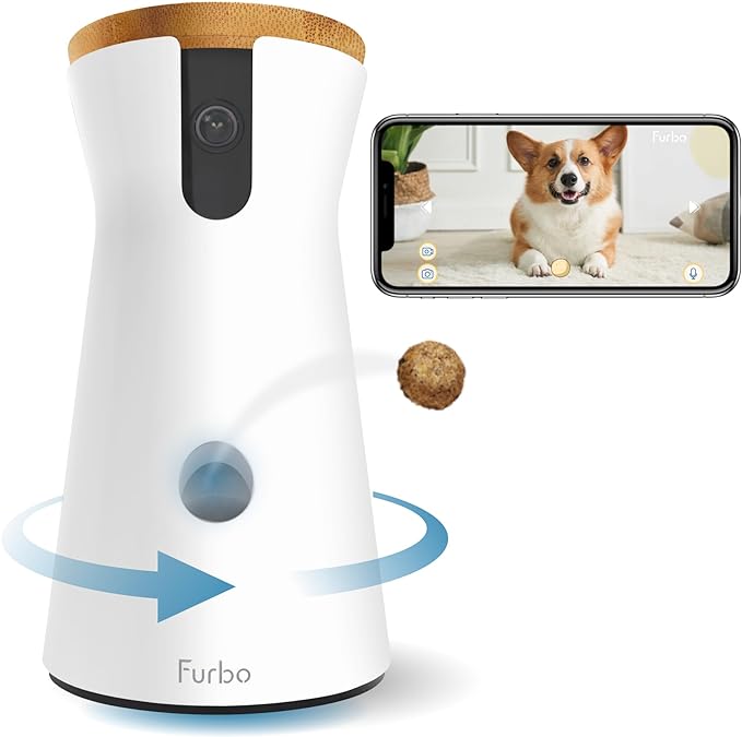 Best Cameras For Dogs Best Cameras For Dogs