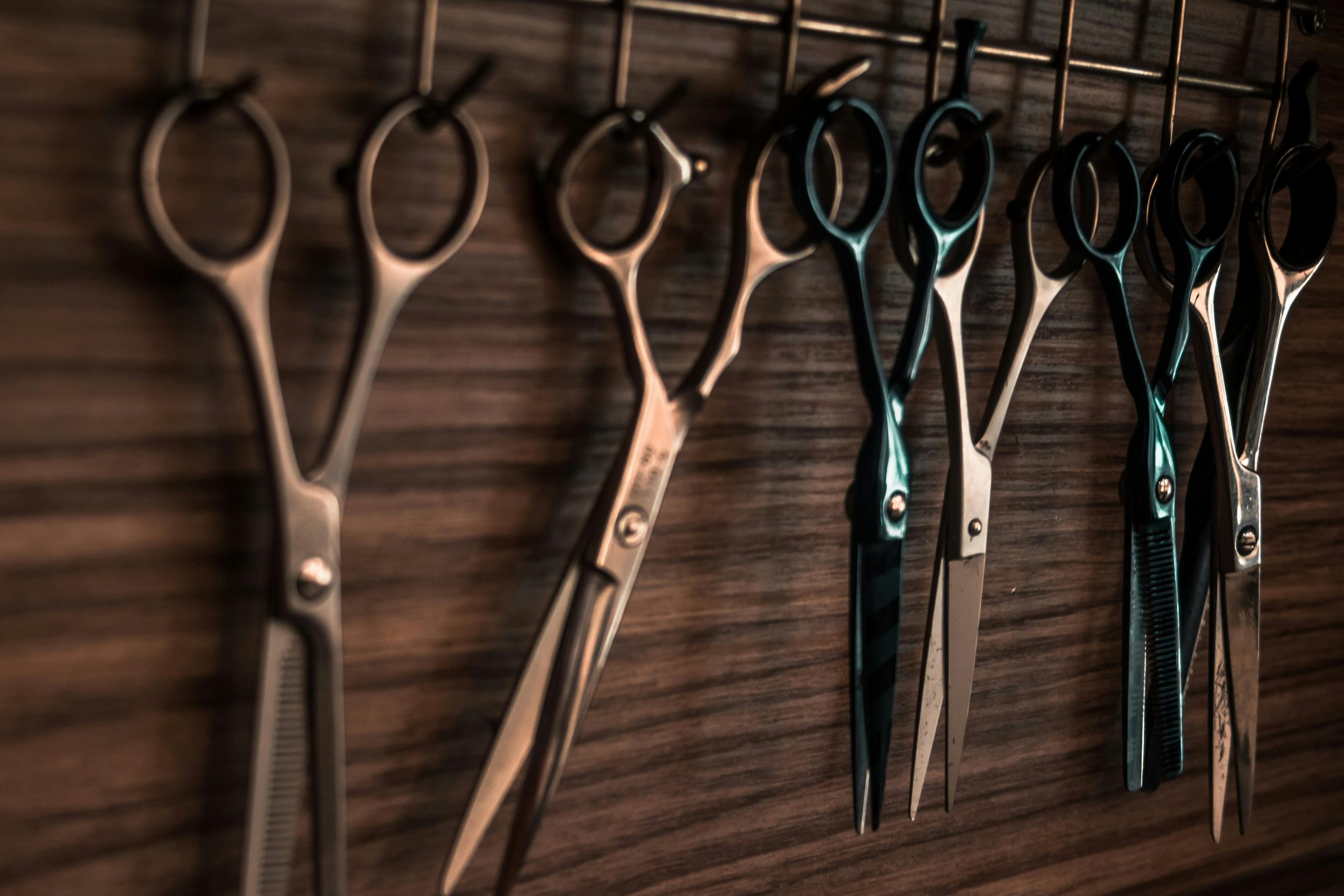 the best grooming scissors for dogs in 2024 main image for the best grooming scissors for dogs in 2024