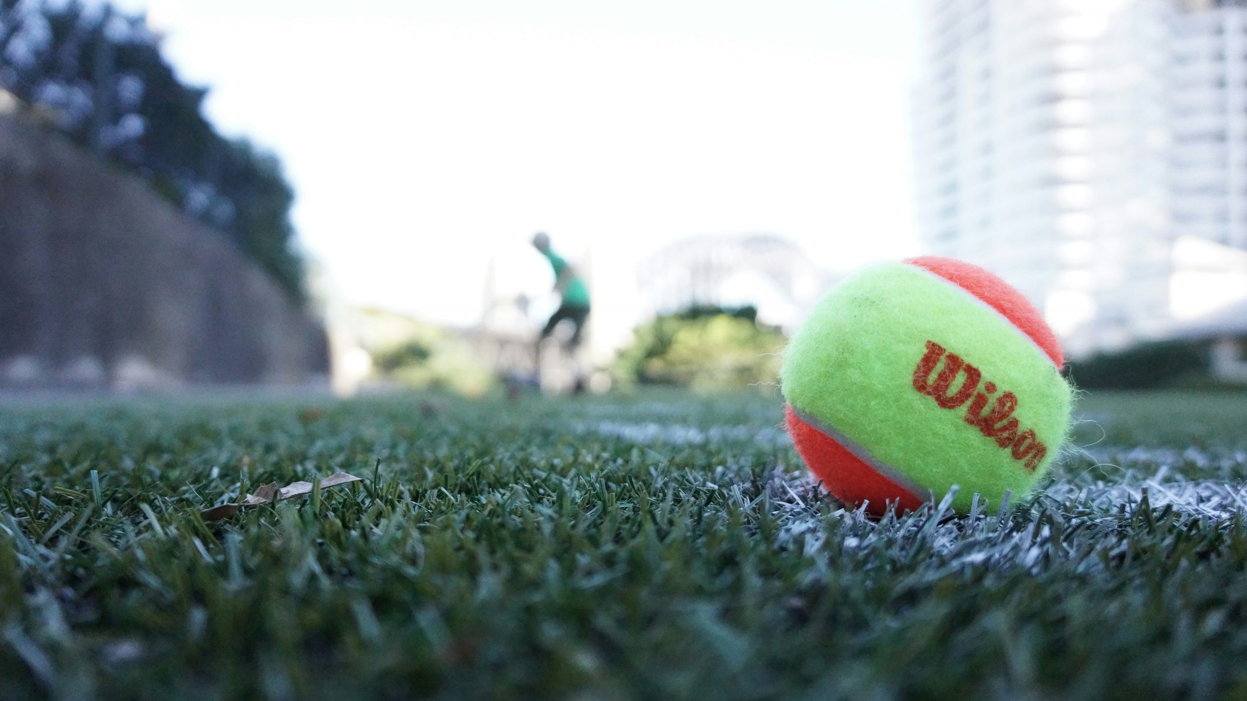 main image for the best tennis balls for dogs 2024