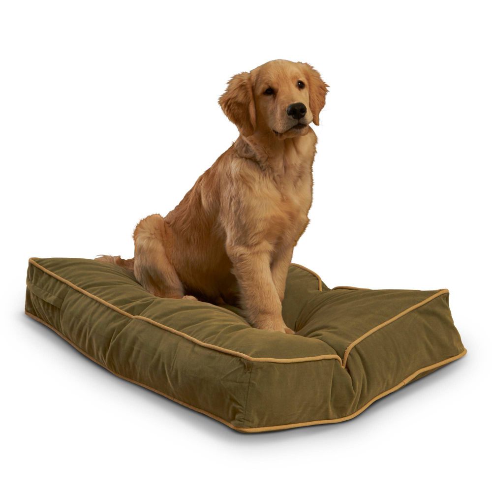 20+ Dog Beds Under 50 Dogtime