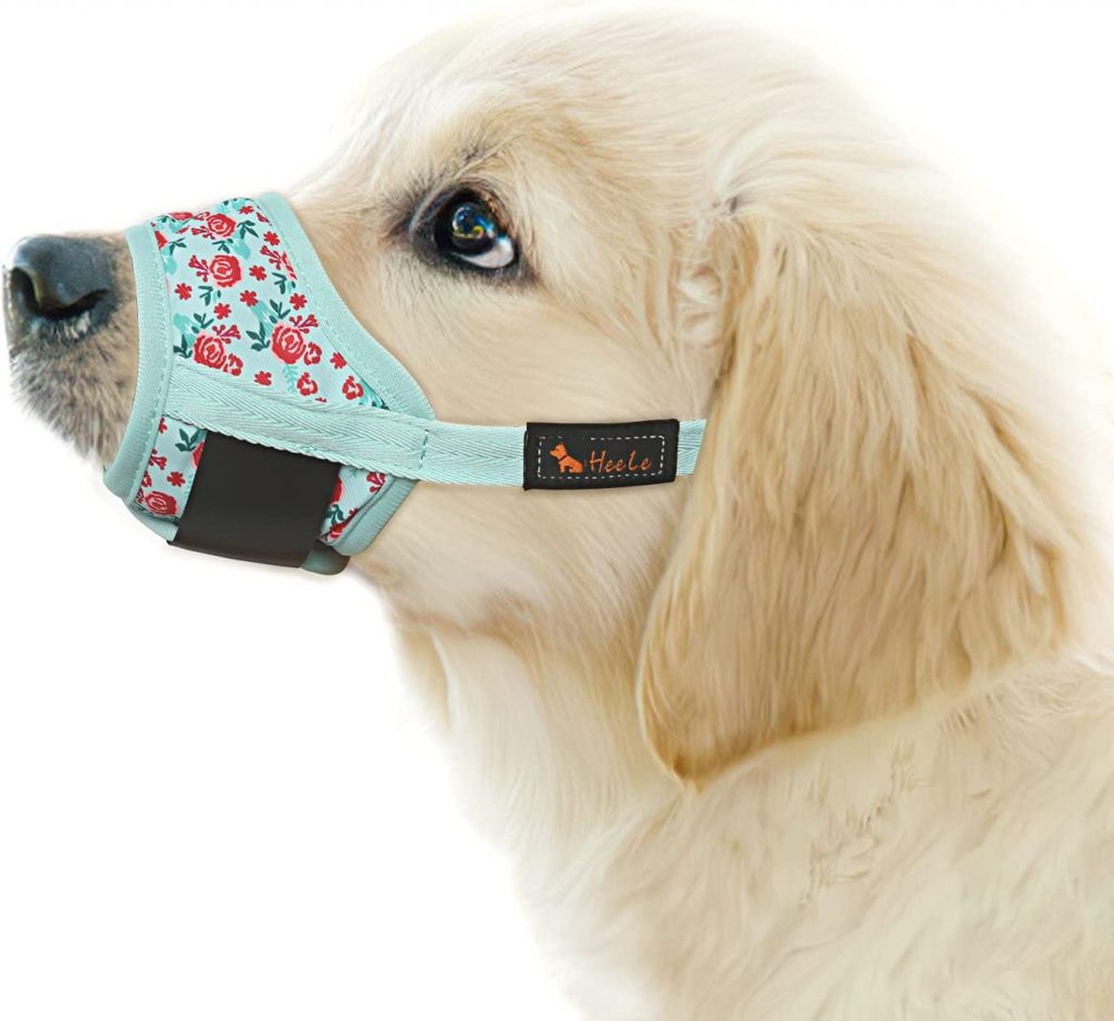 The 5 Best Dog Muzzles For Social Interactions Dogtime