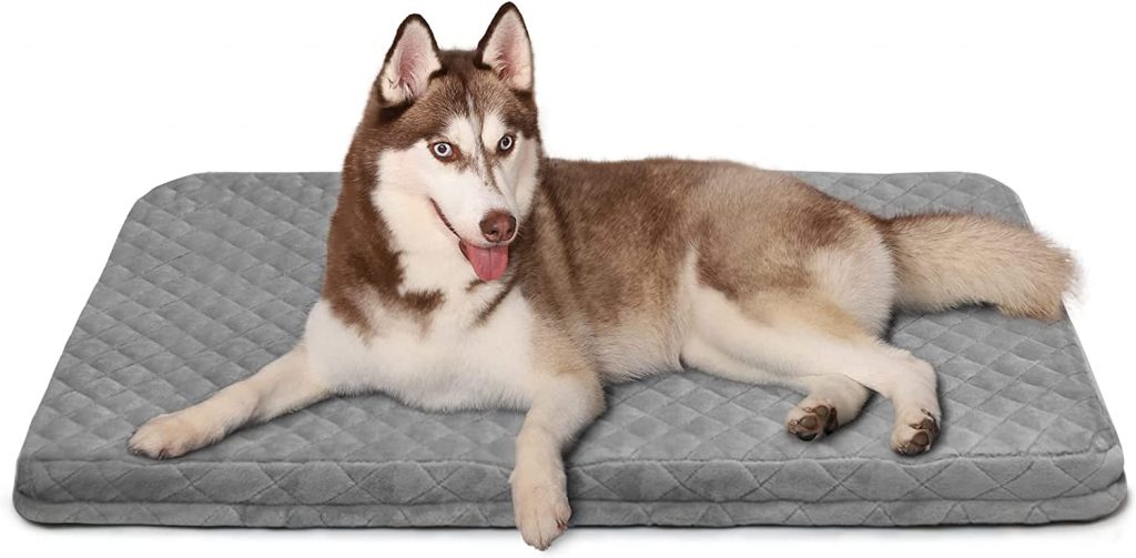 Best bed for clearance husky