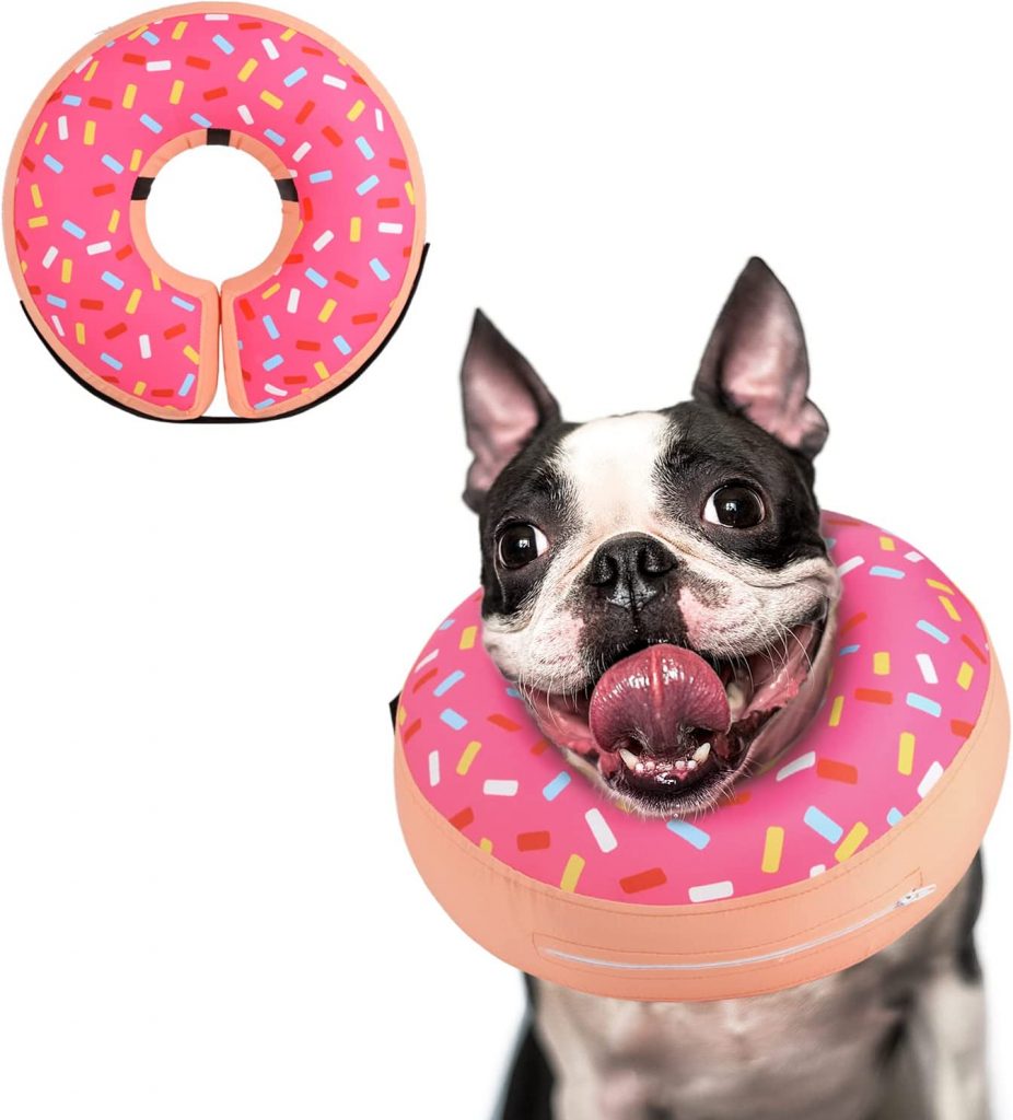 The 5 Best Dog Cones For Pet Recovery Dogtime