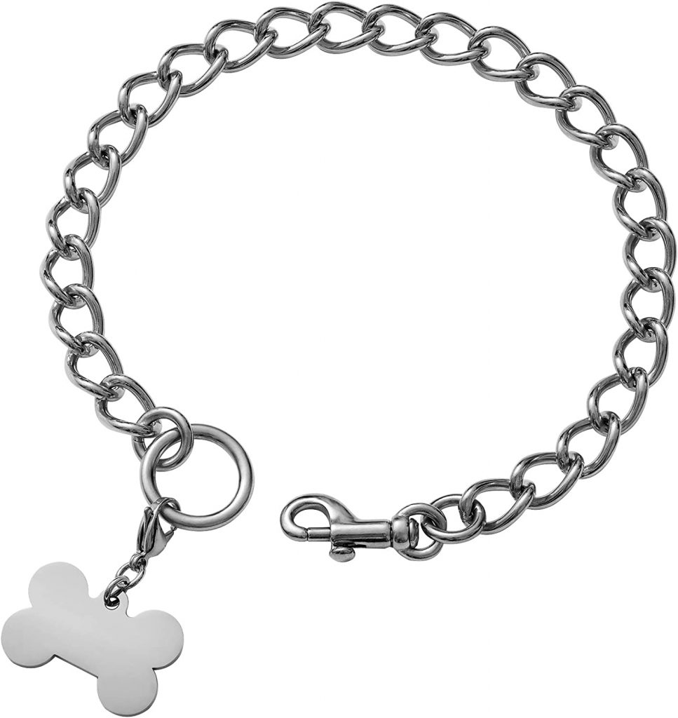 The 5 Best Chain Dog Collars Dogtime