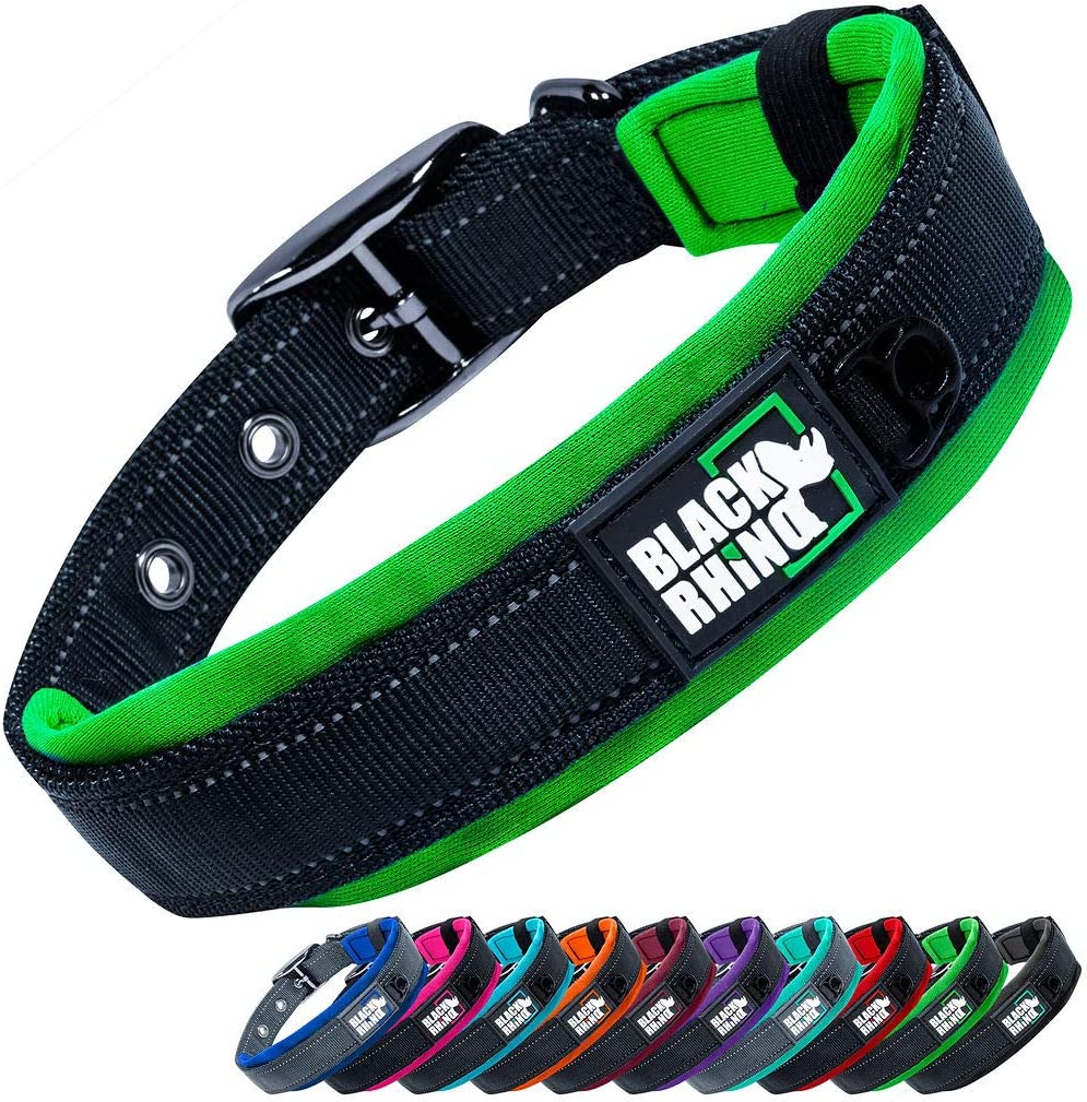 Black Rhino Padded Dog Collar