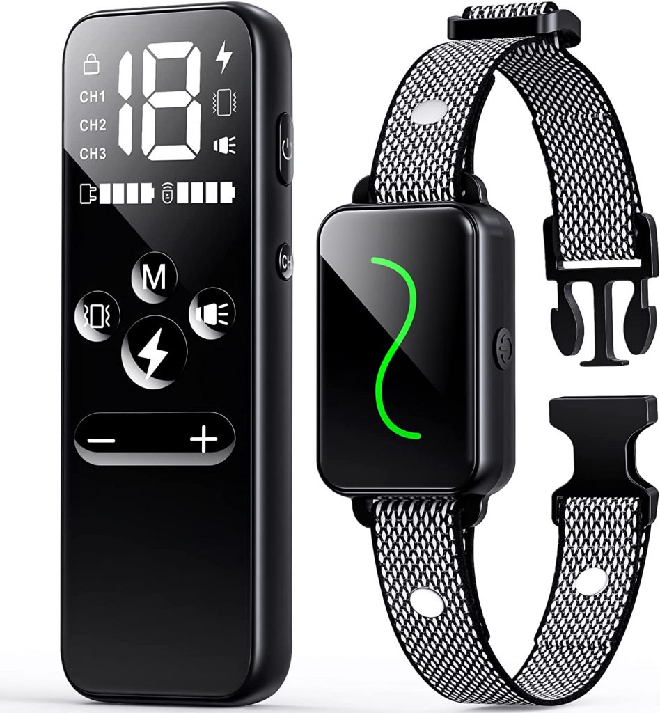 The 5 Best Dog Training Collars Dogtime