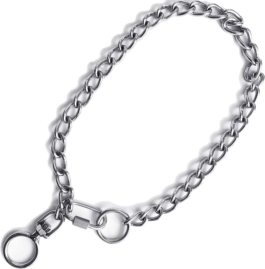 The 5 Best Chain Dog Collars Dogtime