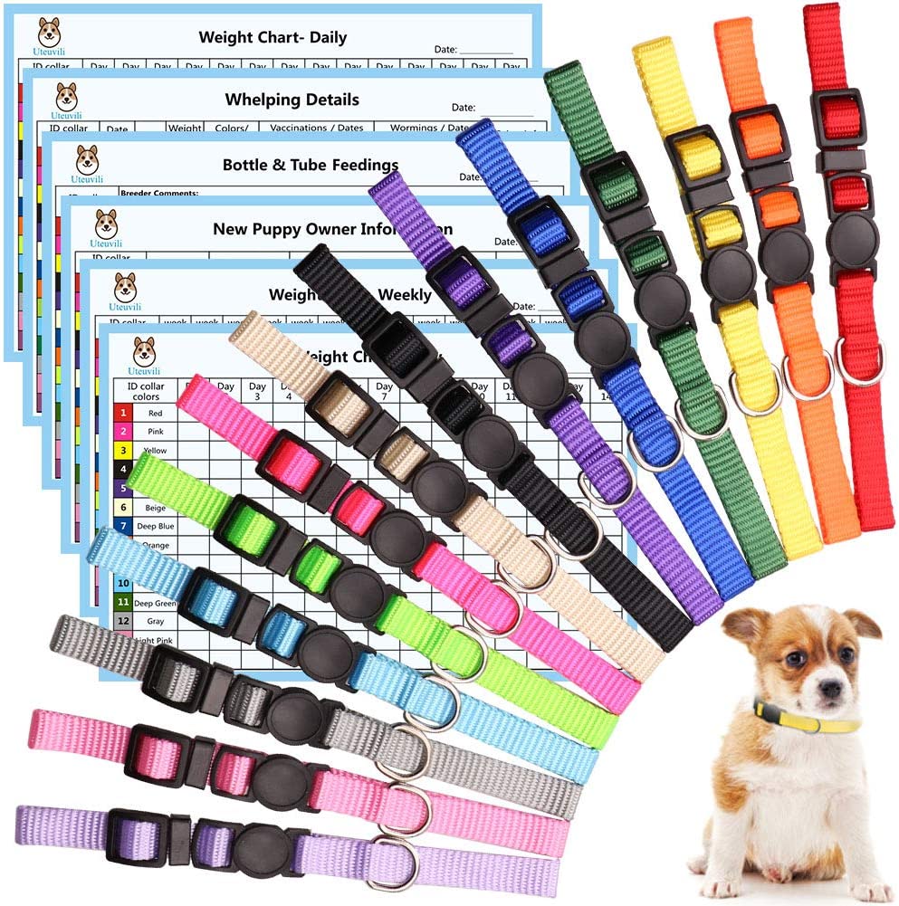 Uteuvili Puppy Collars