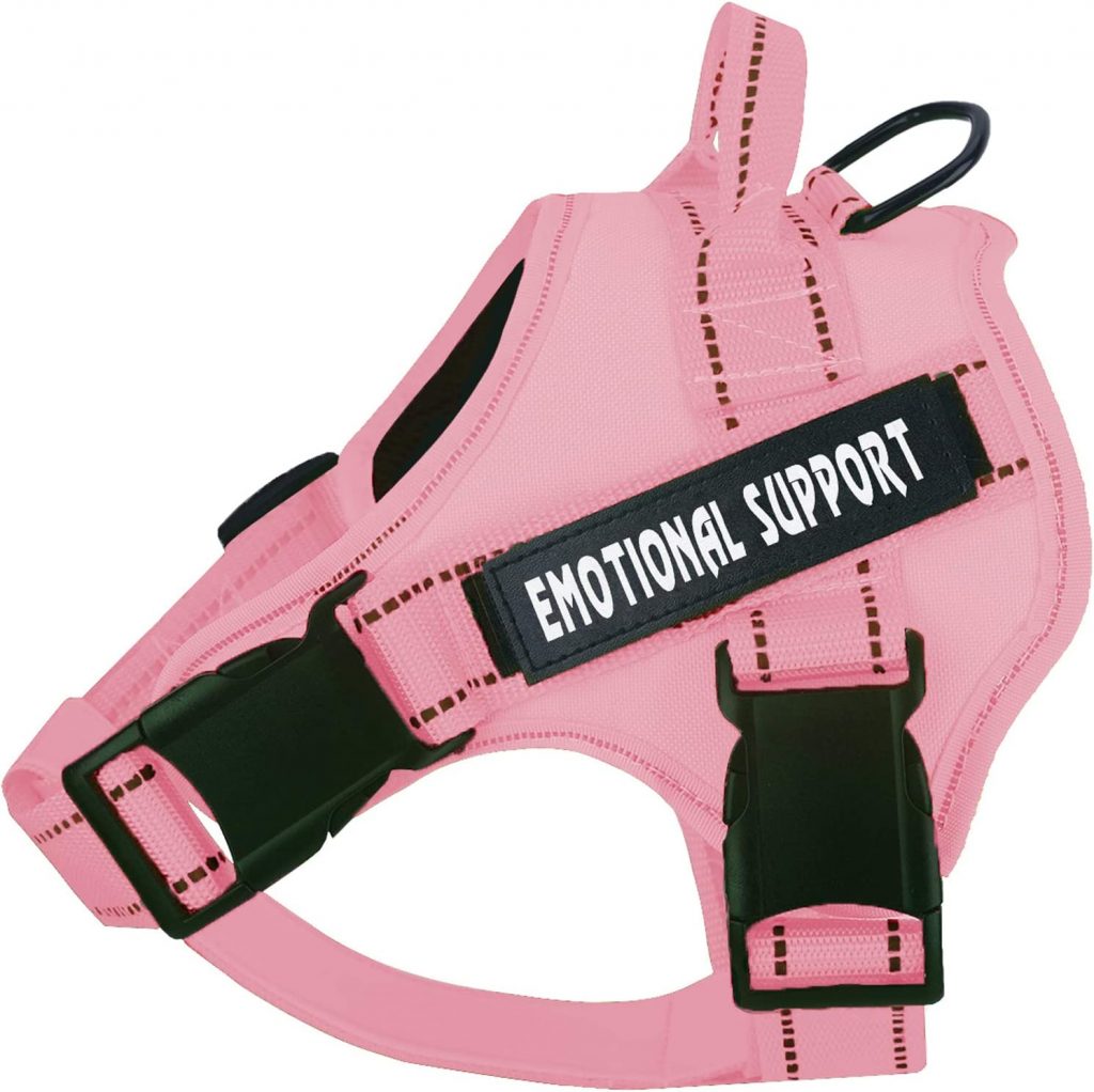 The 5 Best Emotional Support Dog Harnesses For Canine Heroes - Dogtime