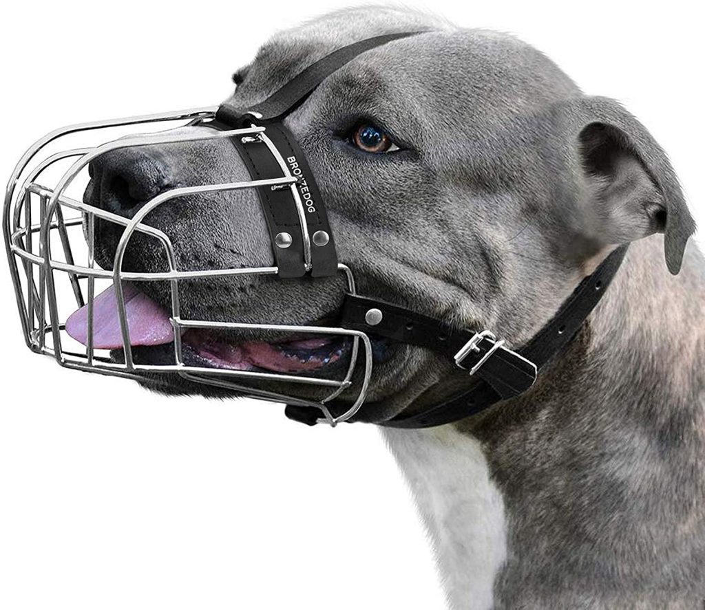 BronzeDog Wire Basket Dog Muzzle