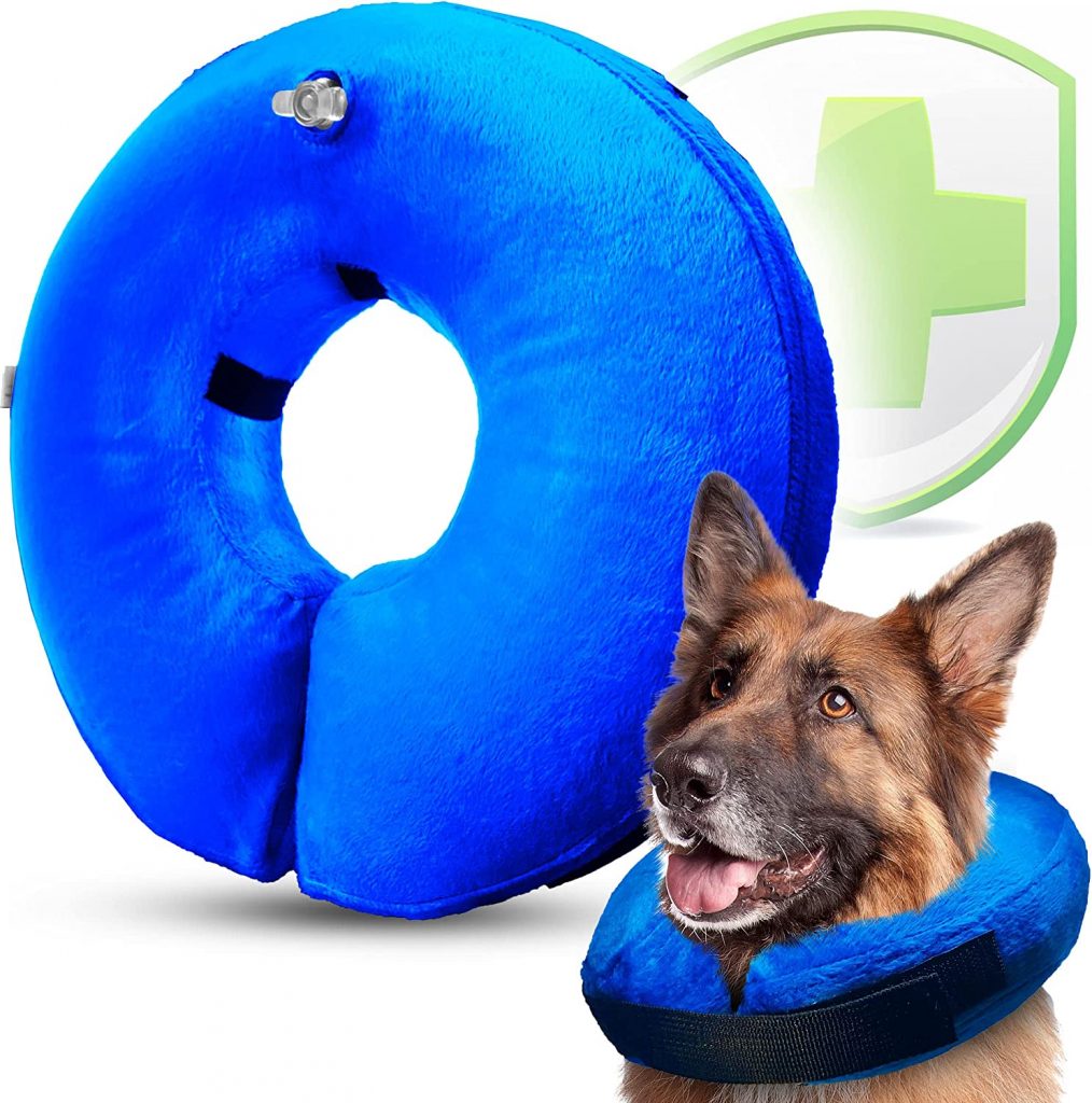 The 5 Best Dog Cones For Pet Recovery Dogtime