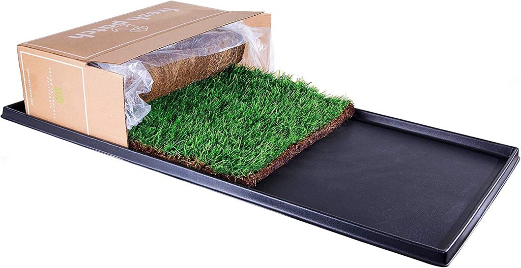 https://dogtime.com/reviews/wp-content/uploads/2023/03/Fresh-Patch-Real-Indoor-Grass-for-Dogs-4-1024x528.jpg