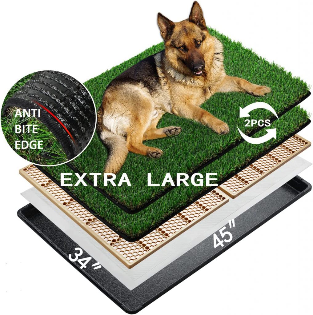 https://dogtime.com/reviews/wp-content/uploads/2023/03/MEEXPAWS-Indoor-Grass-for-Dogs-with-Tray-1-4-1017x1024.jpg