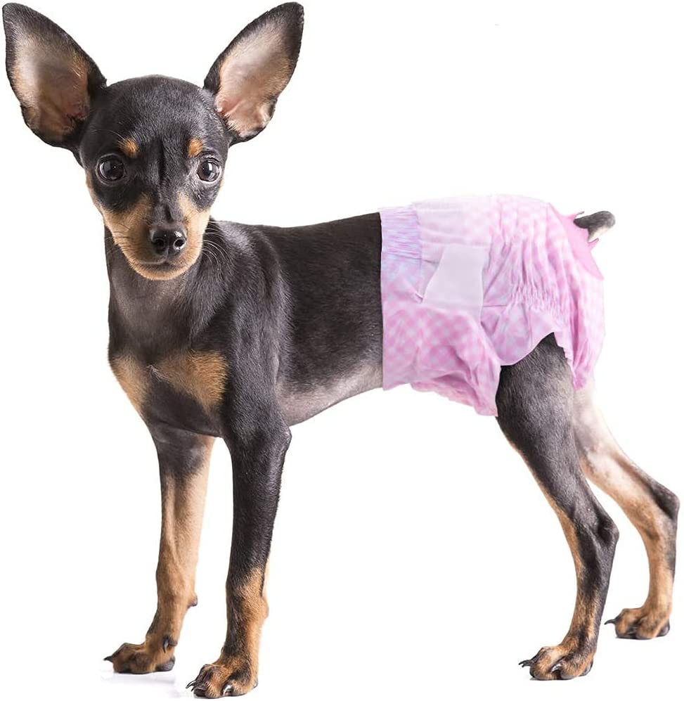 The 5 Best Dog Period Pads for Your Menstruating Mutt Dogtime