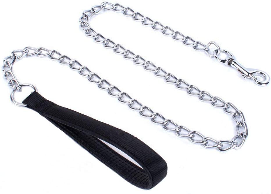 The 5 Best Metal Dog Leashes for Your Persistently Precocious Pup - Dogtime