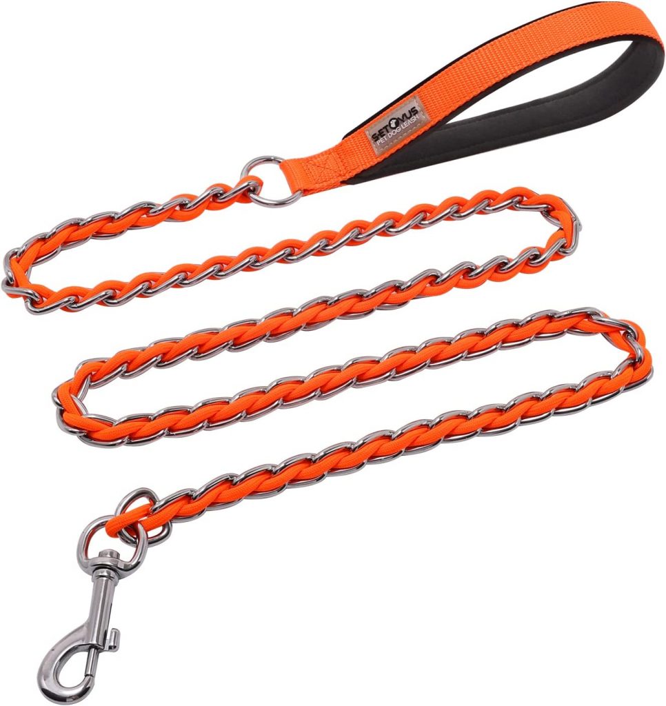 The 5 Best Metal Dog Leashes for Your Persistently Precocious Pup - Dogtime