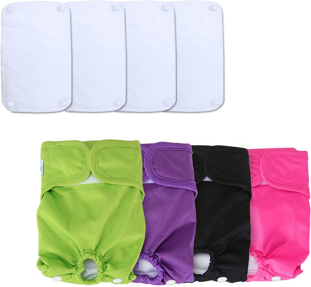 The 5 Best Dog Period Pads for Your Menstruating Mutt Dogtime