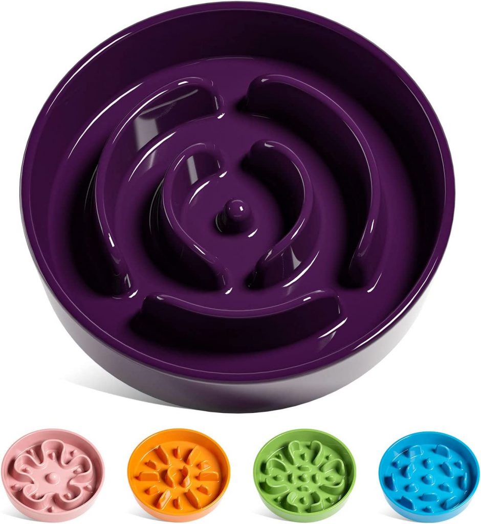5-best-slow-feeders-for-your-dog-dogtime