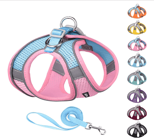 AIITLE Step in Dog Harness and Leash Set