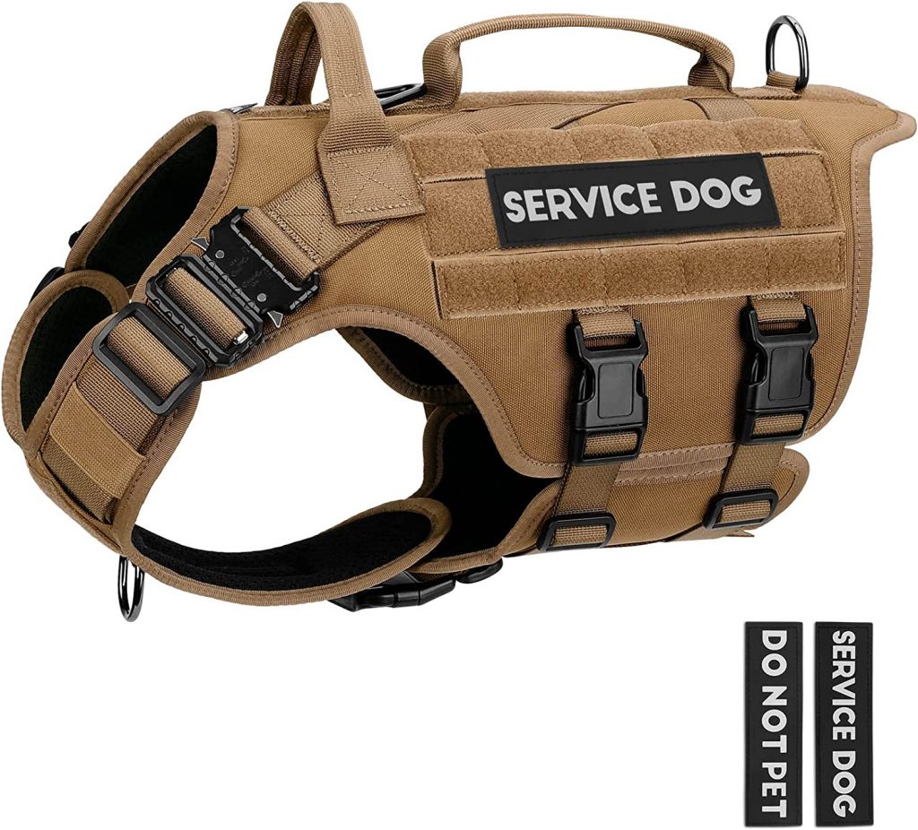 5 Of The Best Service Dog Harnesses For Pups At Work Dogtime