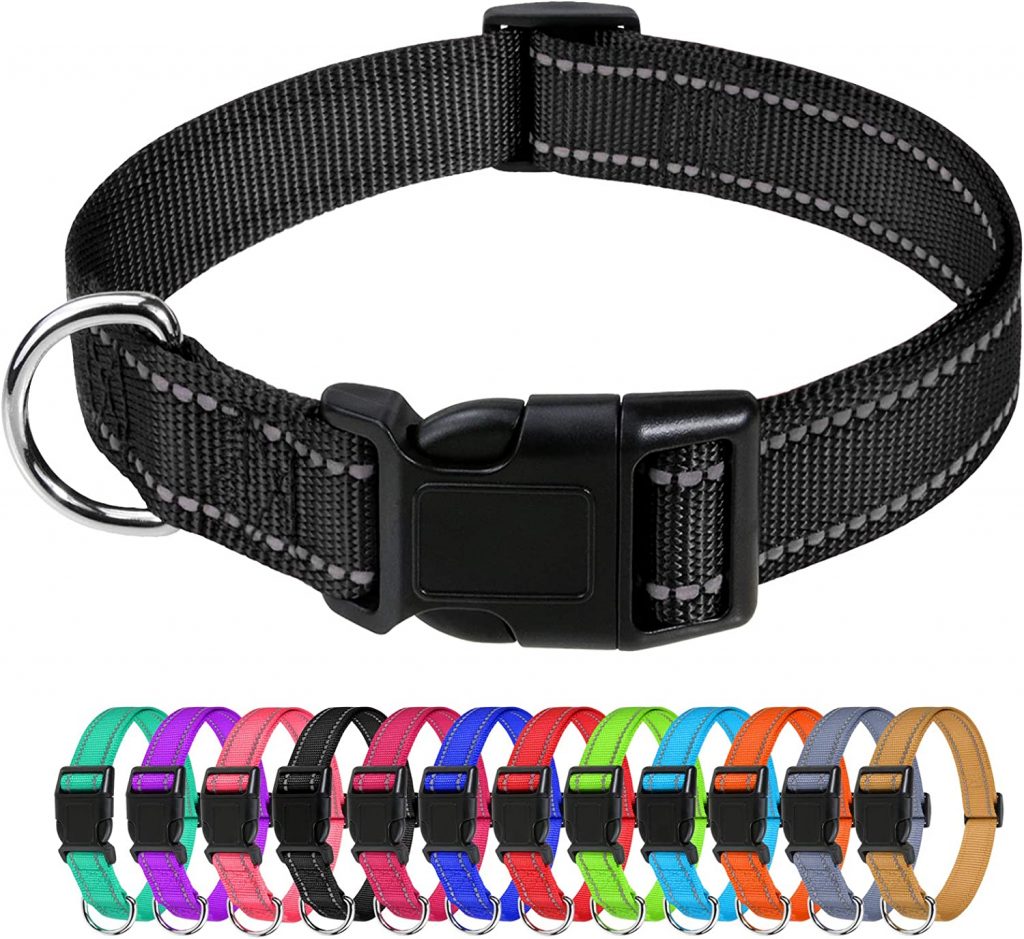 TagMe Reflective Nylon Dog Collar