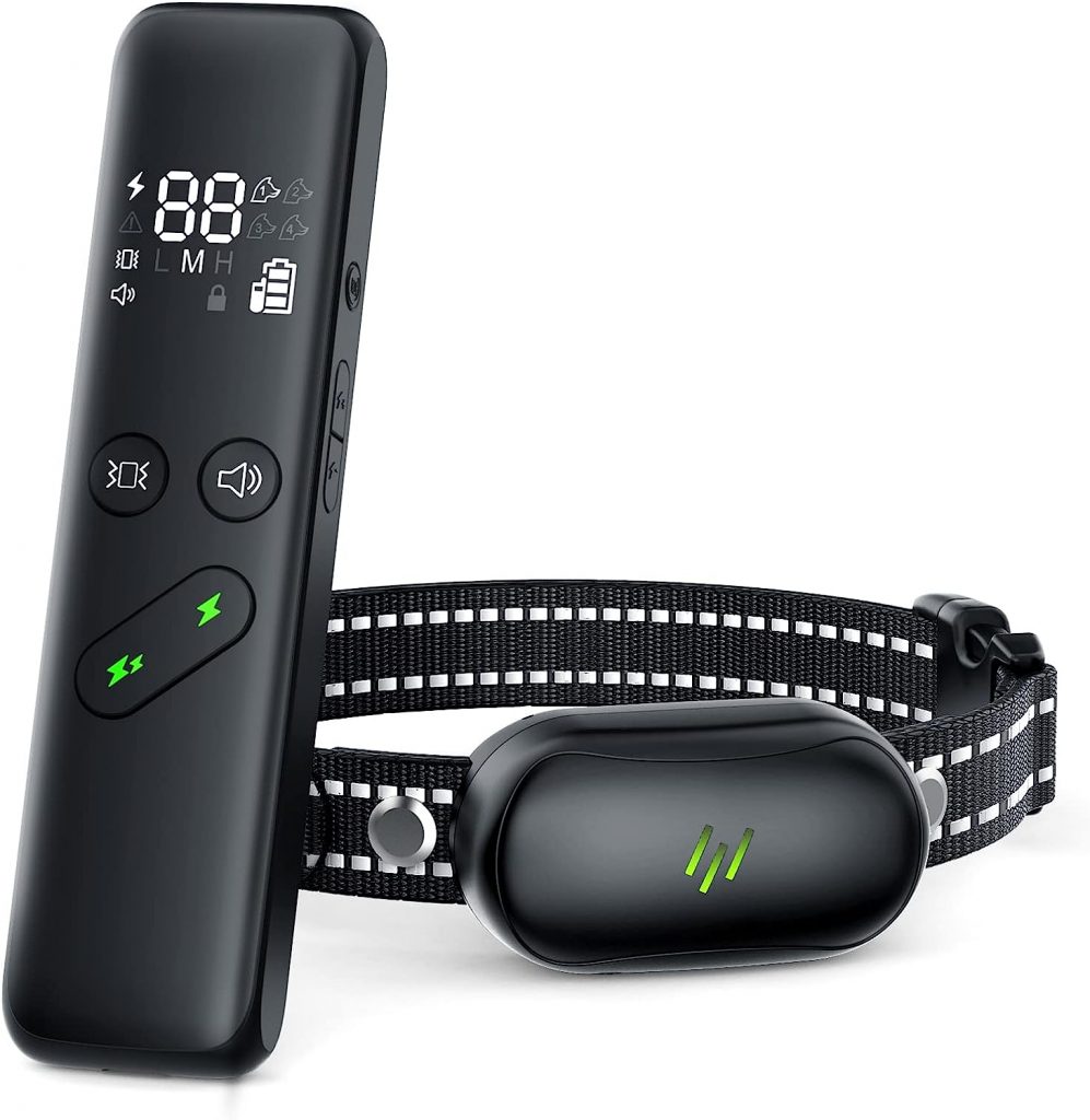 The 5 Best Shock Collars For Doggy Discipline Dogtime