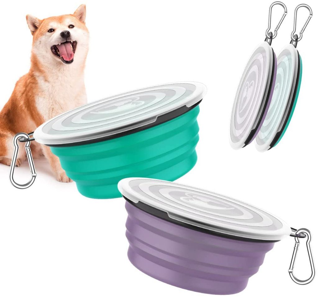 travel dog bowl with lid