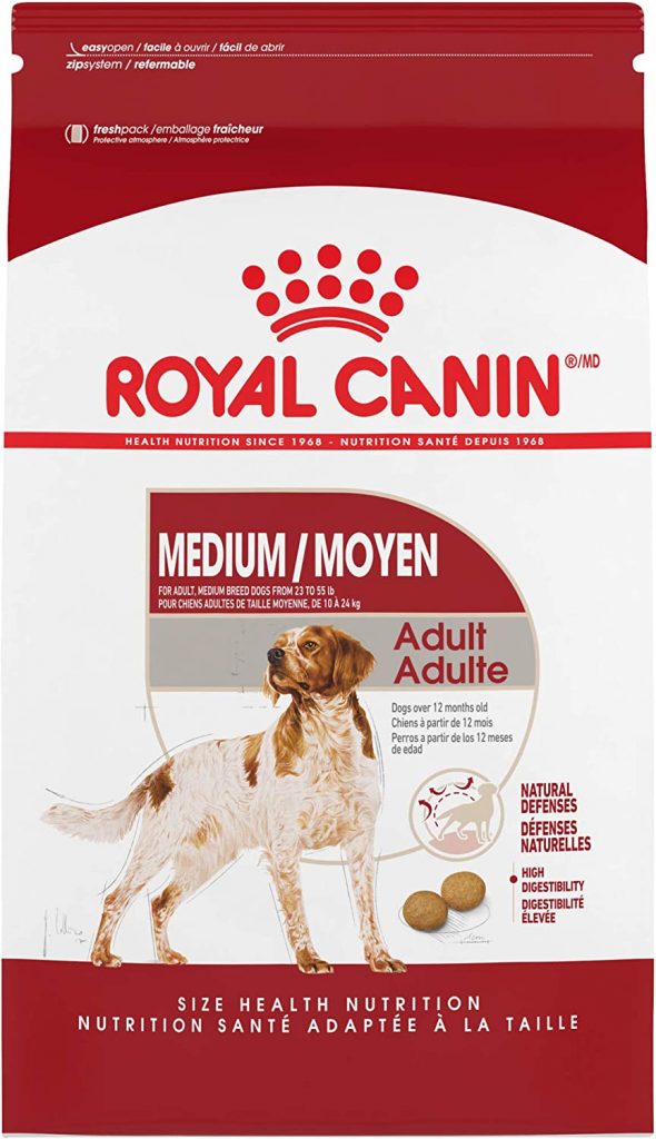 Goldendoodle royal outlet canin