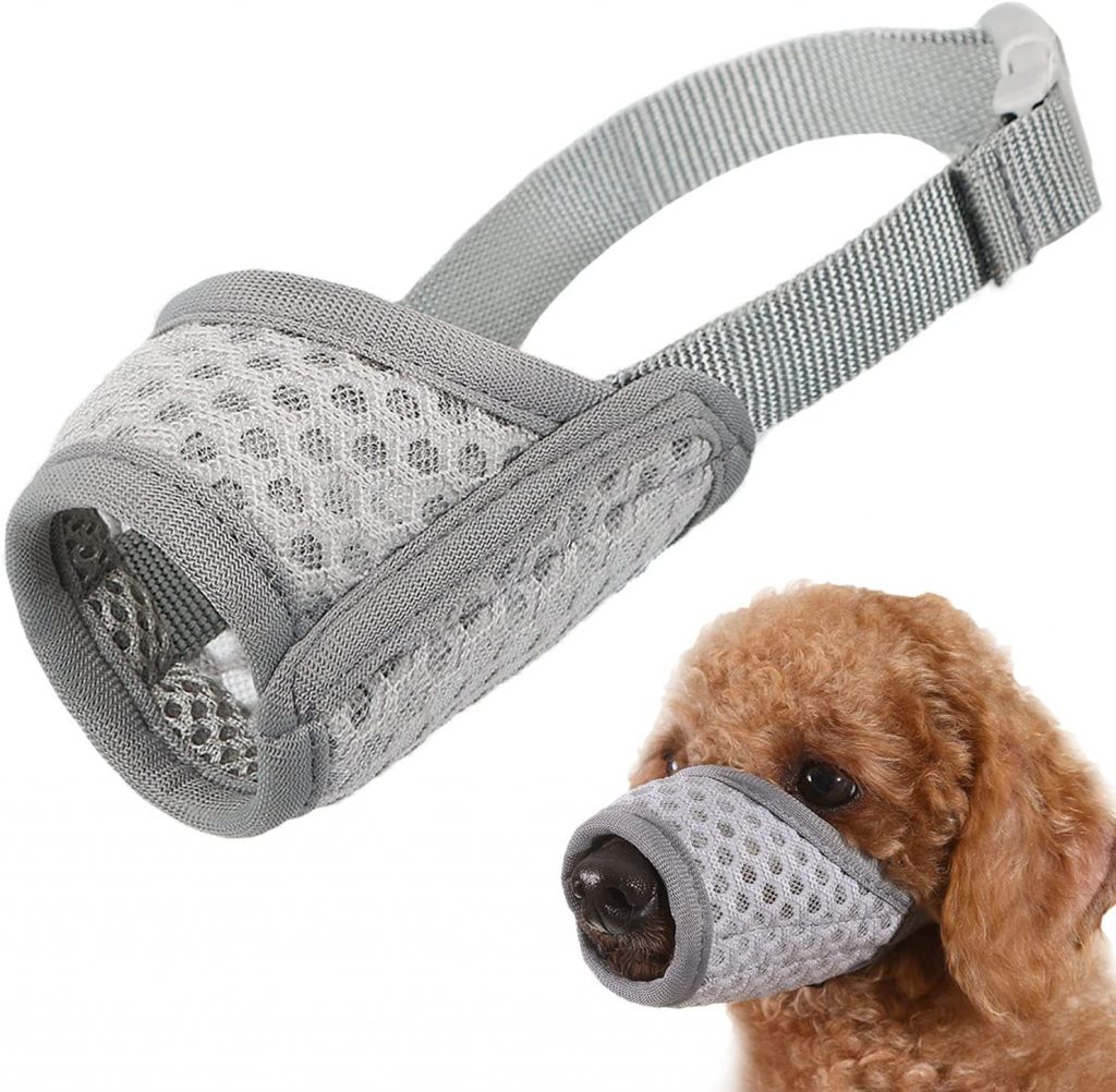 The Best Dog Muzzles That Allow Drinking Dogtime
