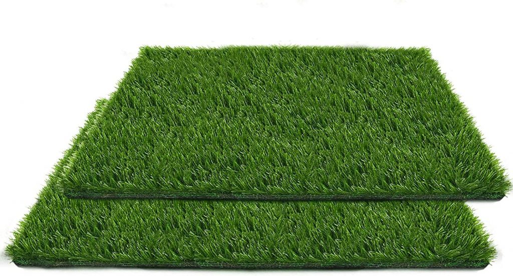 The 5 Best Grass Pads for Dogs to PottyTrain Your Pooch Dogtime