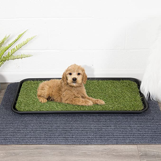 Indoor/Outdoor Pet Potty Tray