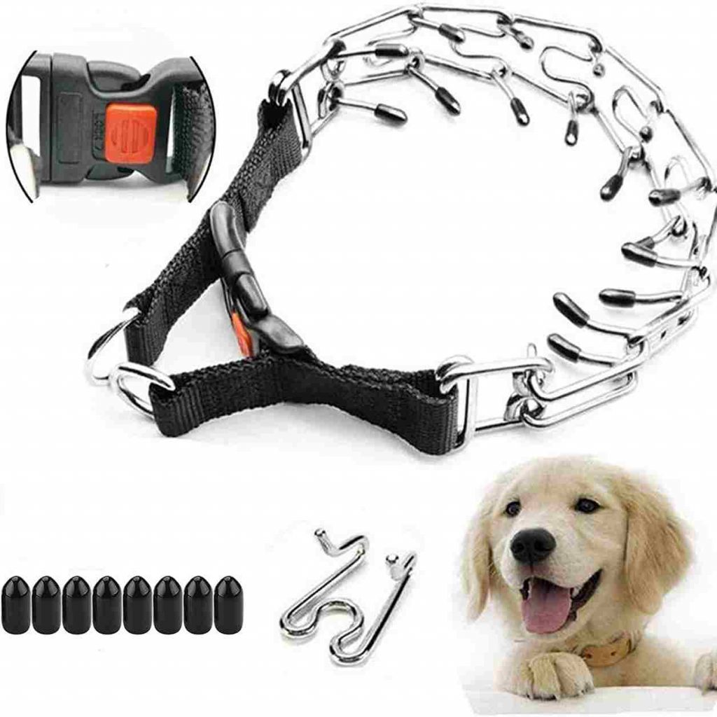 The Best Pinch Collars To Prevent Your Pooch From Pulling Their Leash