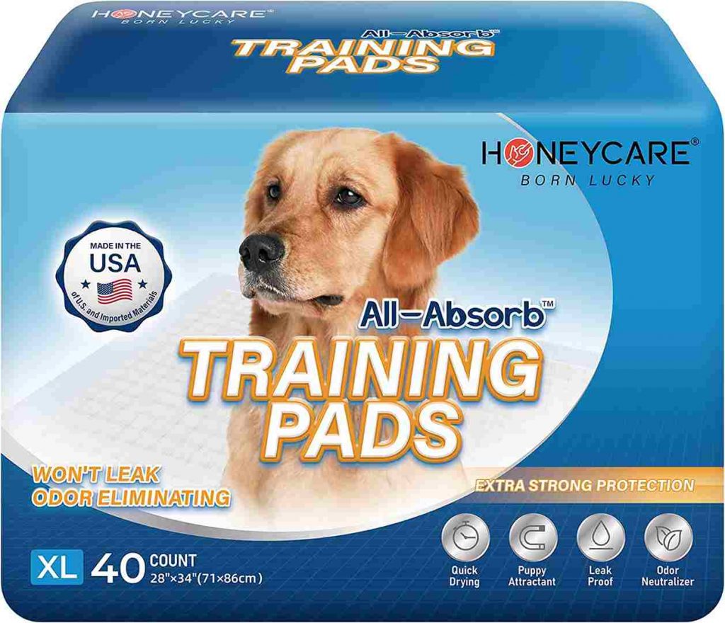 HoneyCare Large Puppy Training Pads