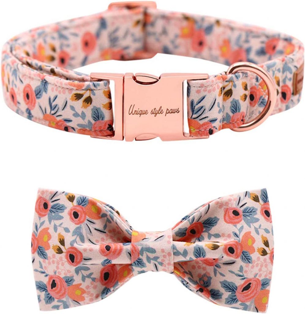 The 5 Best Cute Dog Collars For Your Pretty Pup Dogtime