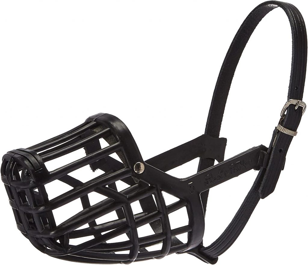 The 5 Best Basket Muzzles For Dogs Of Every Size - Dogtime