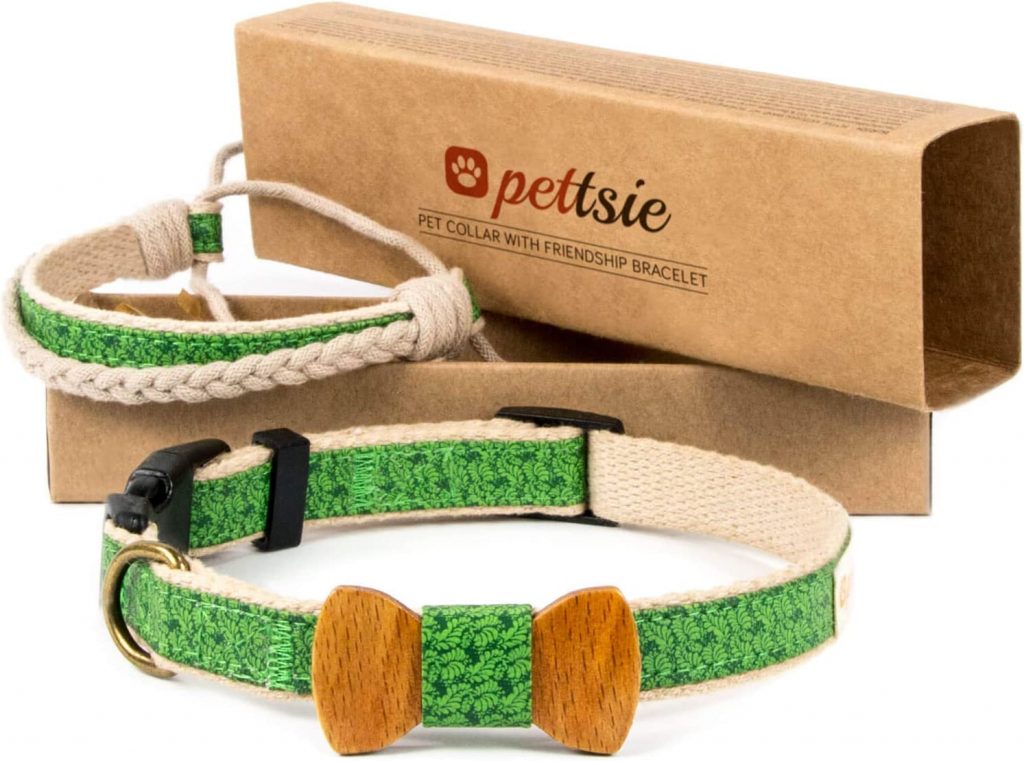 Pettsie Matching Dog Collar and Bracelet Set