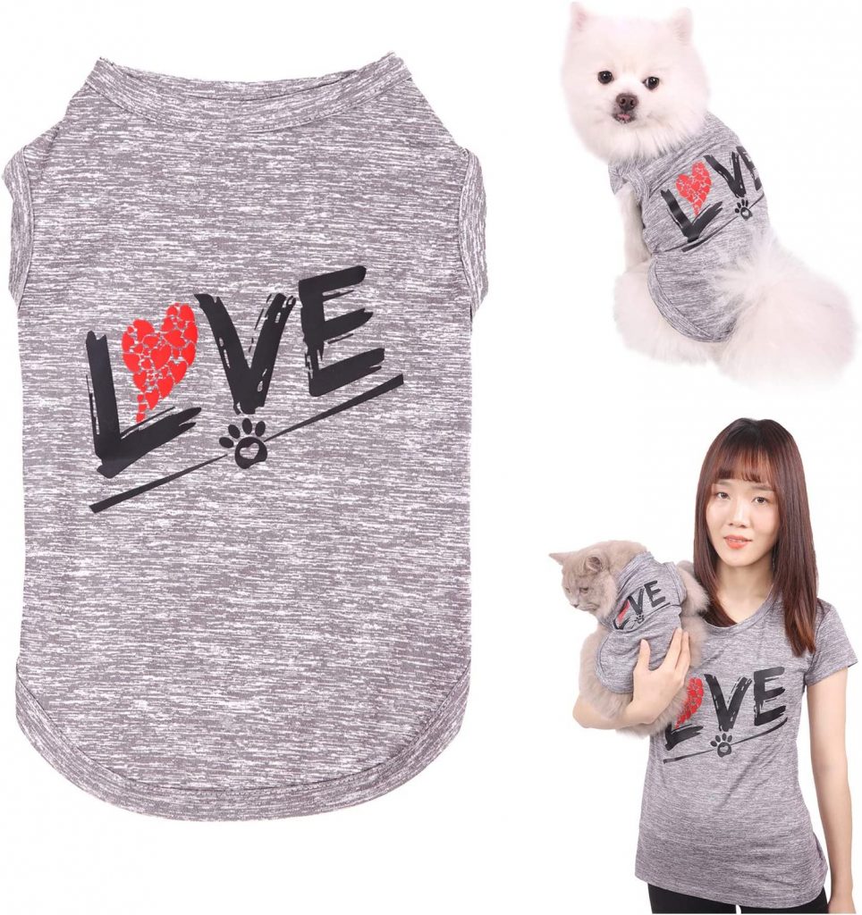 Caisang Dog And Owner T-Shirts