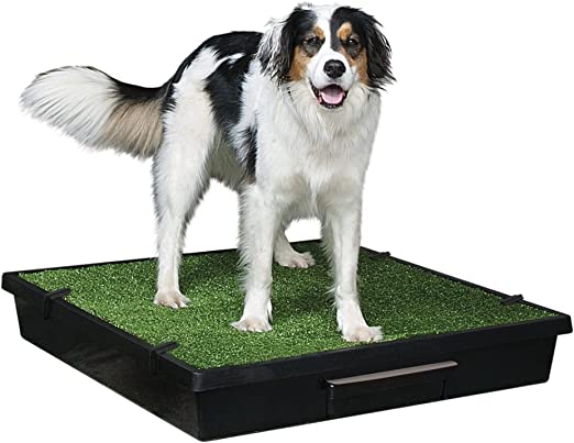 PetSafe Pet Loo Portable Dog Potty