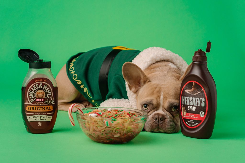 Dog food to shop help firm up stool