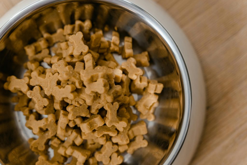 The Best Dry Dog Food in 2024 Dogtime