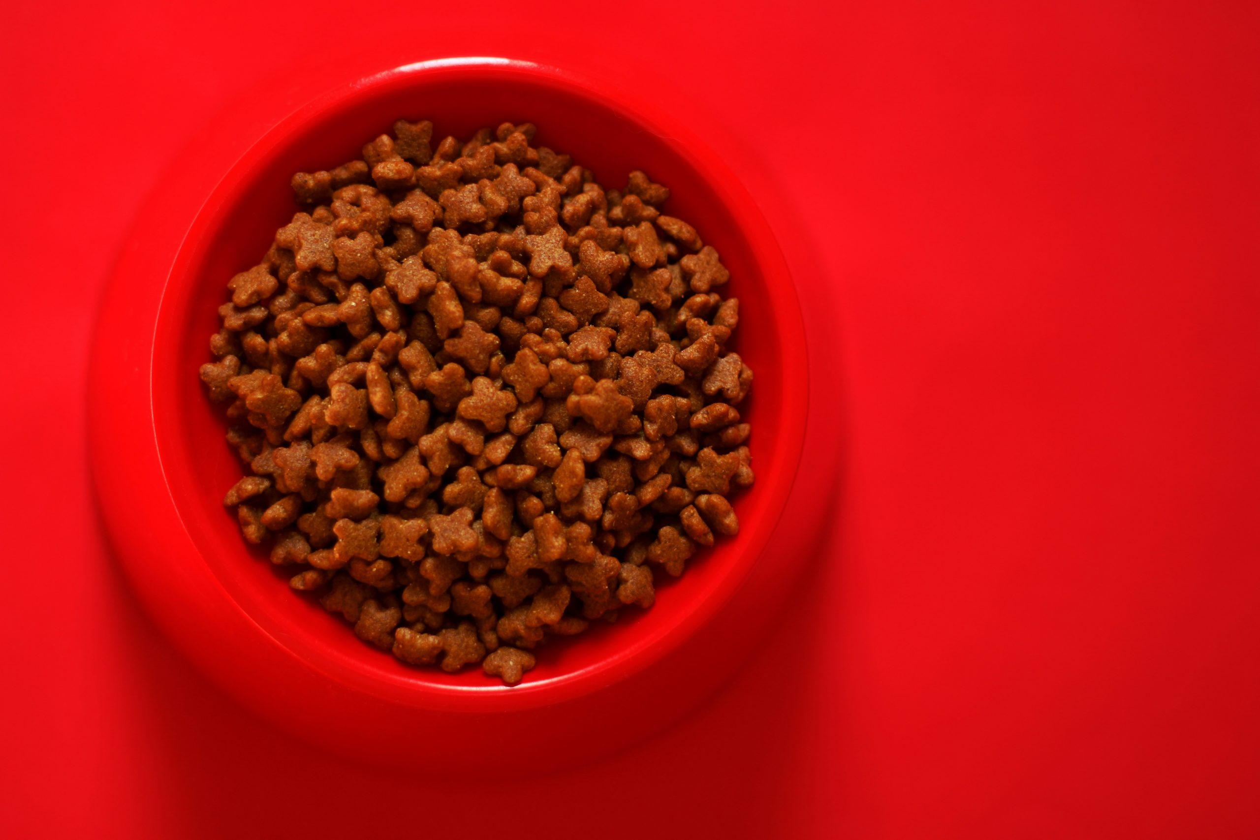 main image for pedigree dog food review 2024