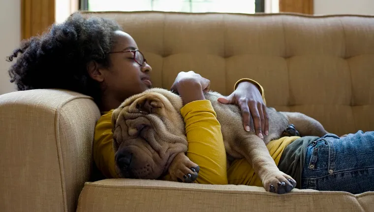 A young woman and her Shar-Pei napping on a couch