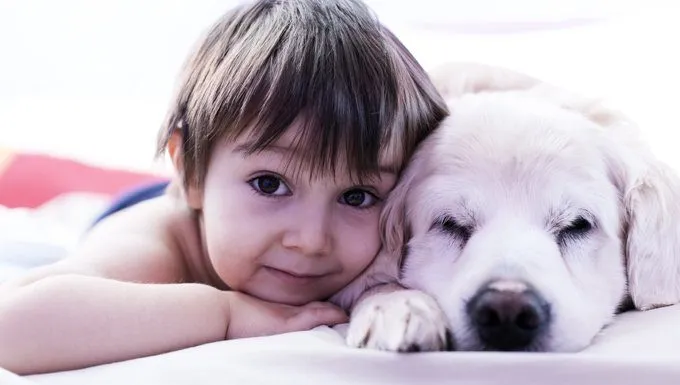 child lying with dog