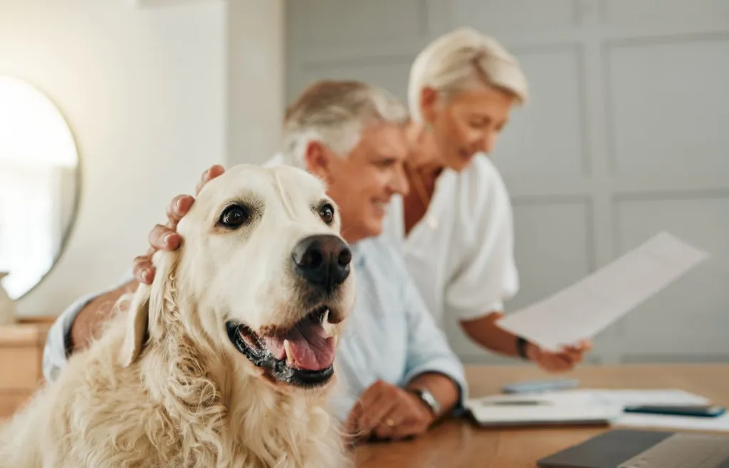Senior couple with dog estate planning.