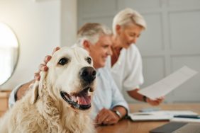 Senior couple with dog estate planning.