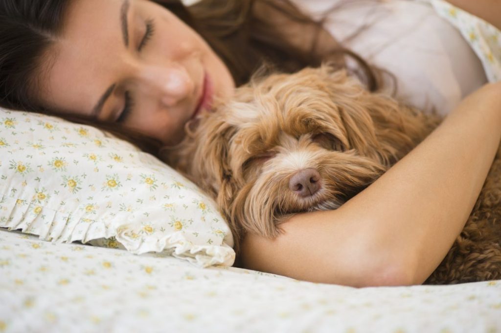 woman sleeping with her small dog in bed