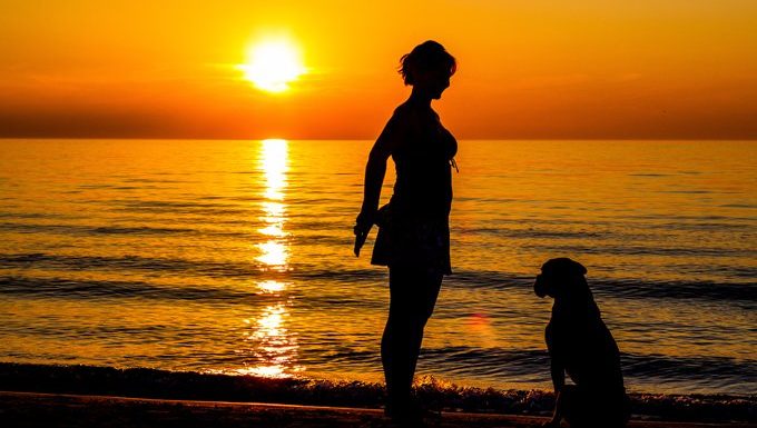 woman training a dog on a beach at sunset