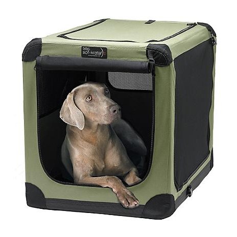 Plastic crate for top dog with separation anxiety