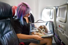Woman Kicked Off Southwest Flight After Petting Dog