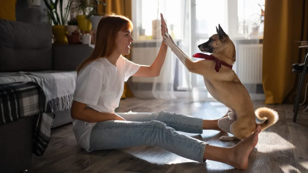A woman works on some dog training tricks with her pup on the floor of their living room.